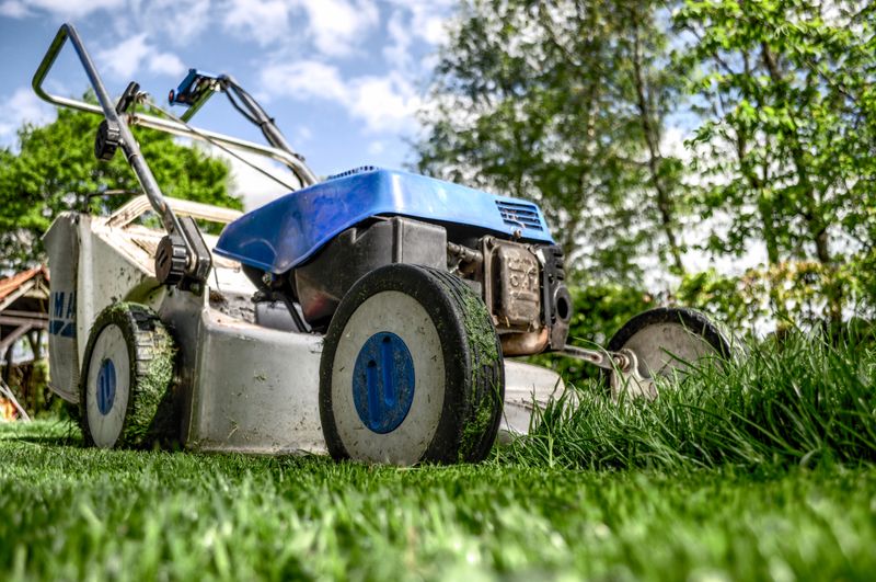 Lawn Maintenance Evolve Landscaping